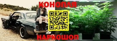 ГАЛЛЮЦИНОГЕННЫЕ ГРИБЫ Анжеро-Судженск