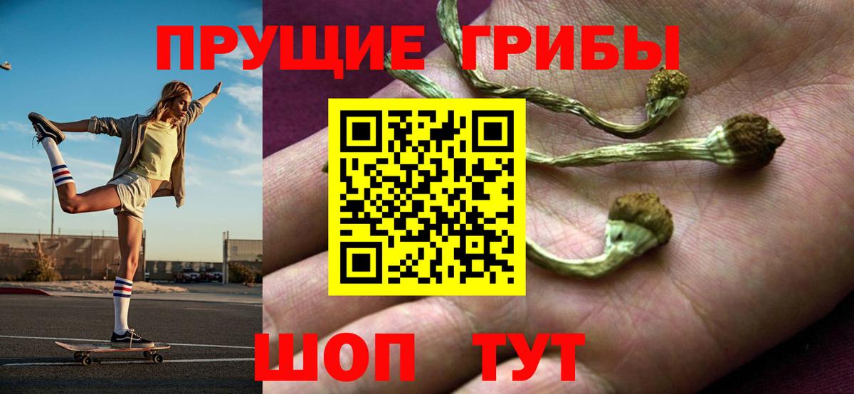Галлюциногенные грибы Cubensis  Вход с VPN  Железноводск 